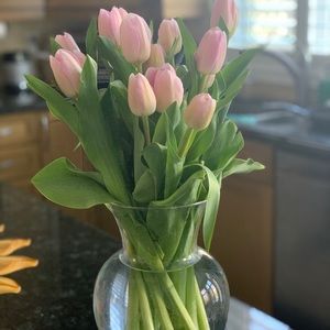 Meet your Posher, Carolin